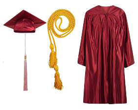 Cap, Gown, Tassel and Honor Cord Set : Shiny Finish