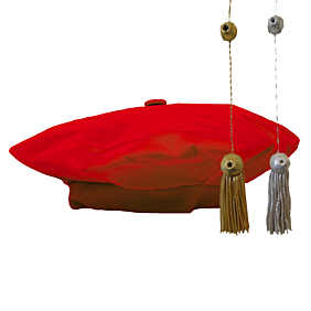 Red Velvet Tam and Metallic Tassel Set