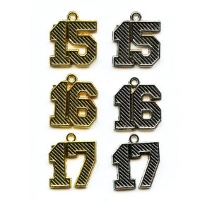 Past Year Charms Only