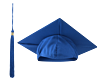 Royal Blue
